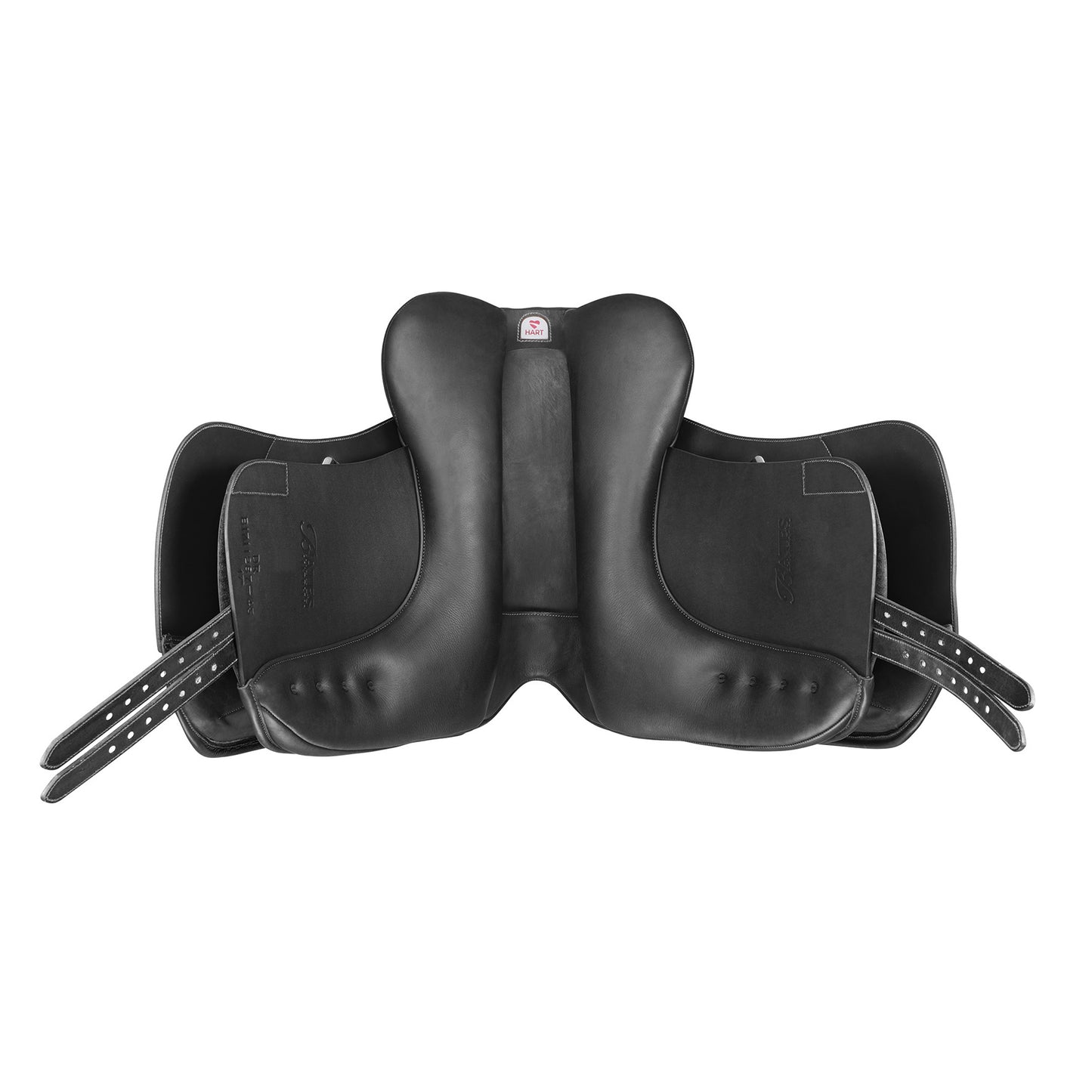 Bates Dressage koulusatula