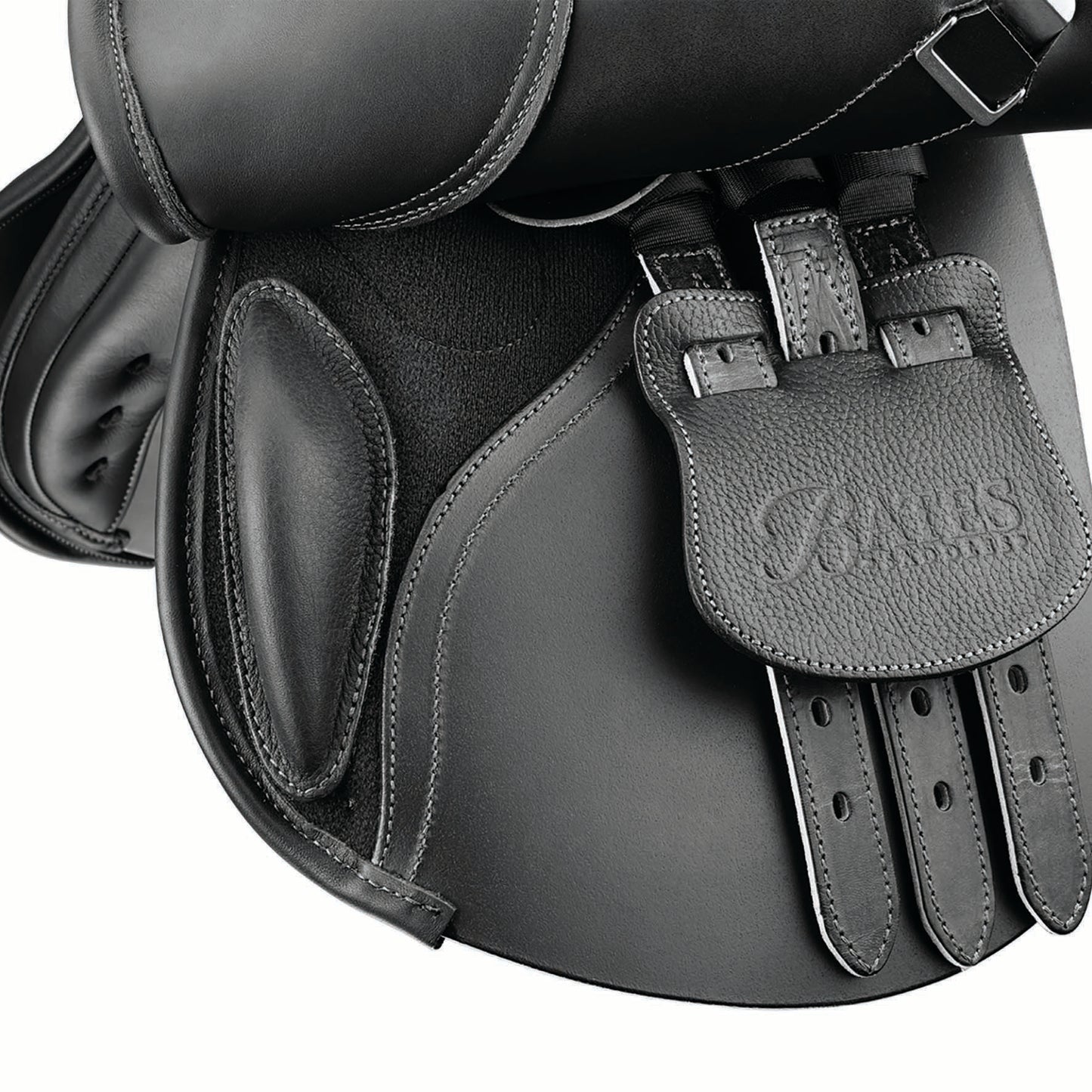 Bates Pony Elevation estesatula