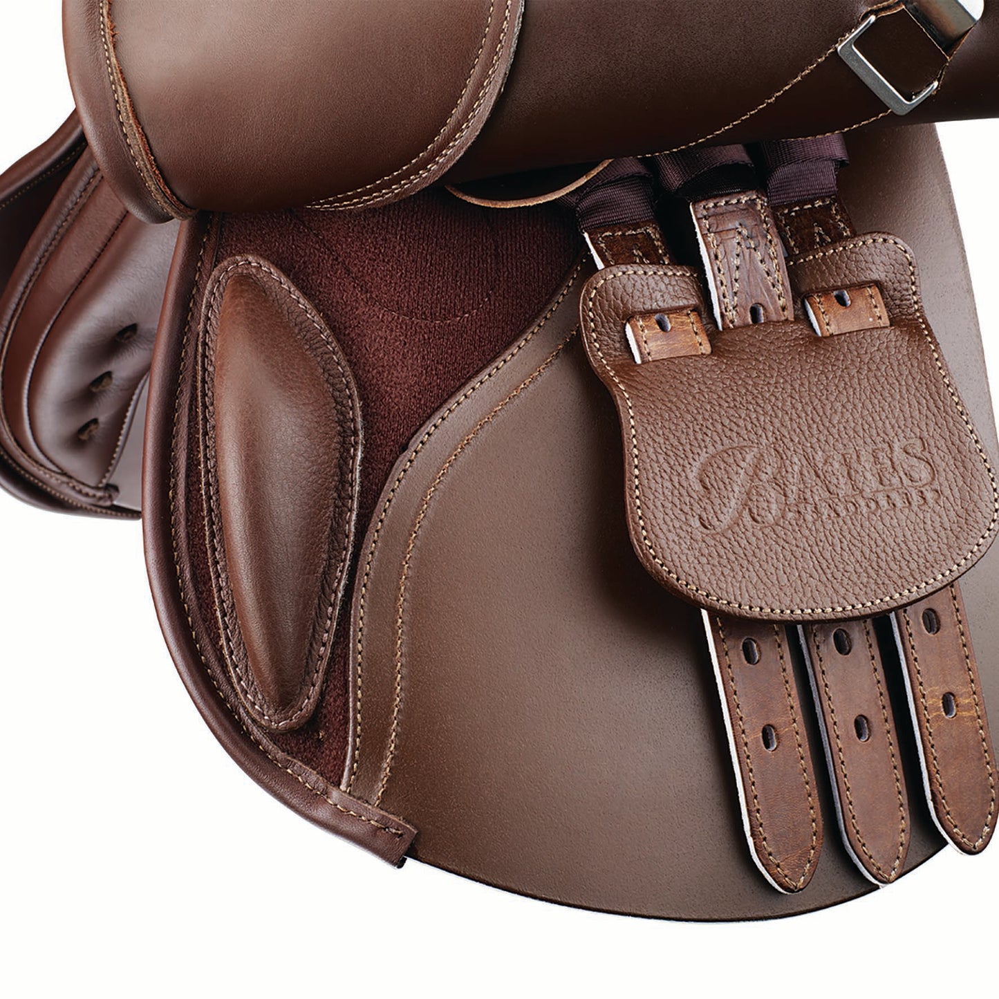 Bates Pony Elevation estesatula