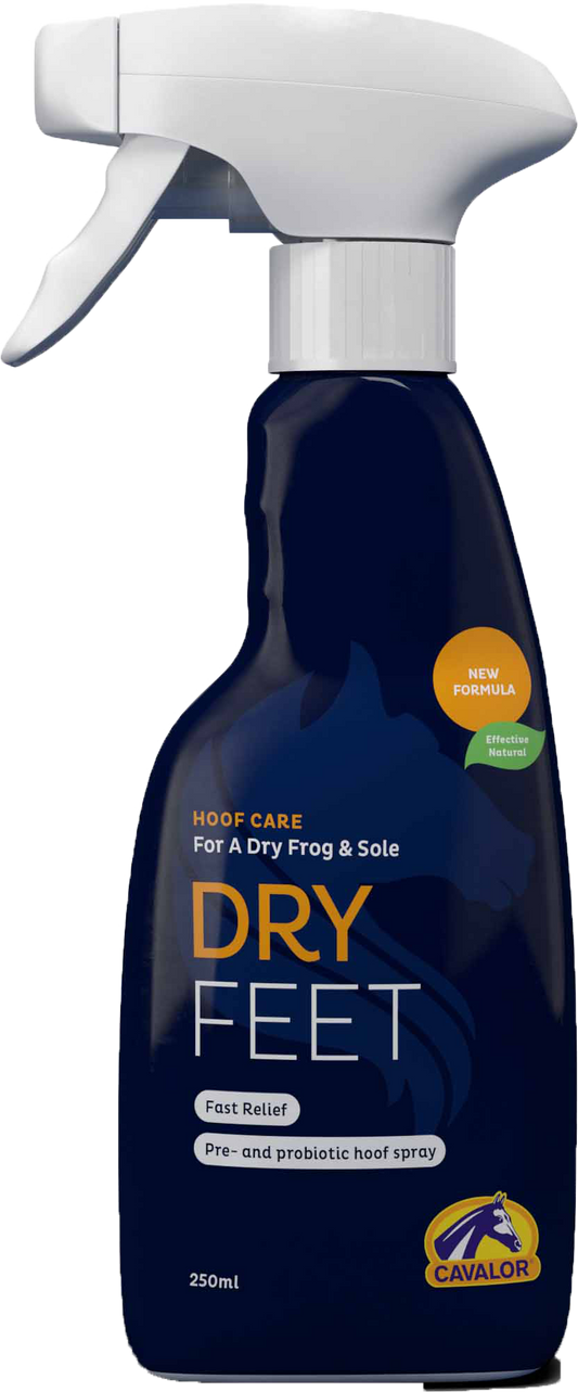 CAVALOR DRY FEET