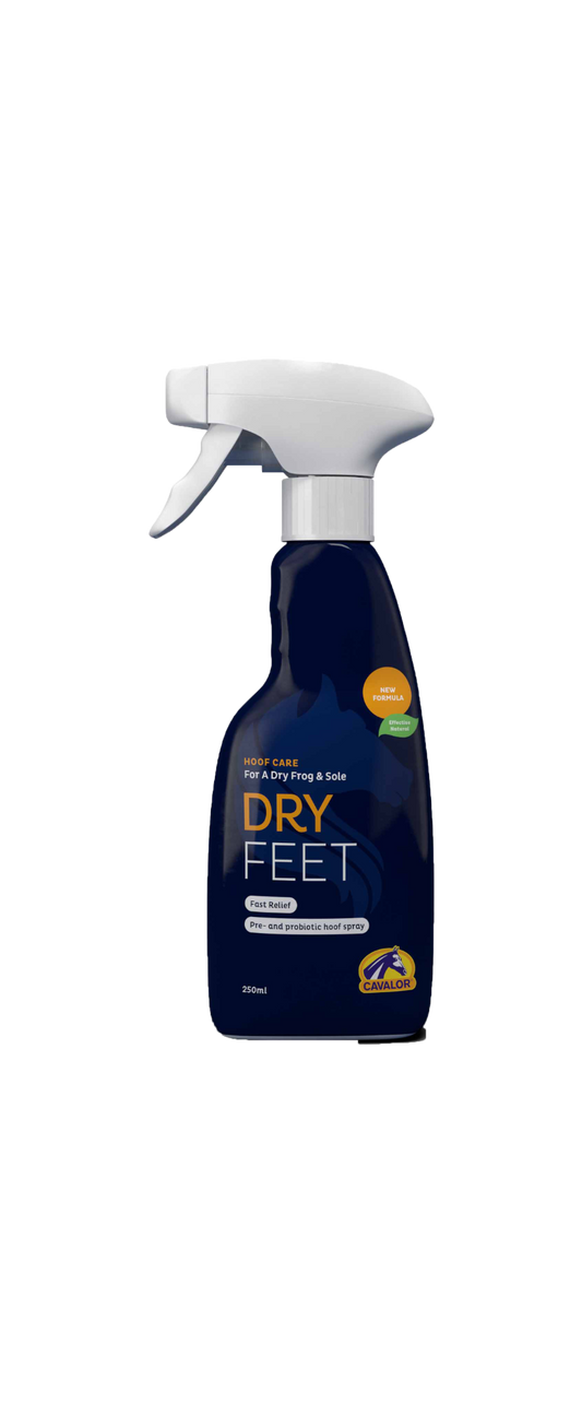 CAVALOR DRY FEET