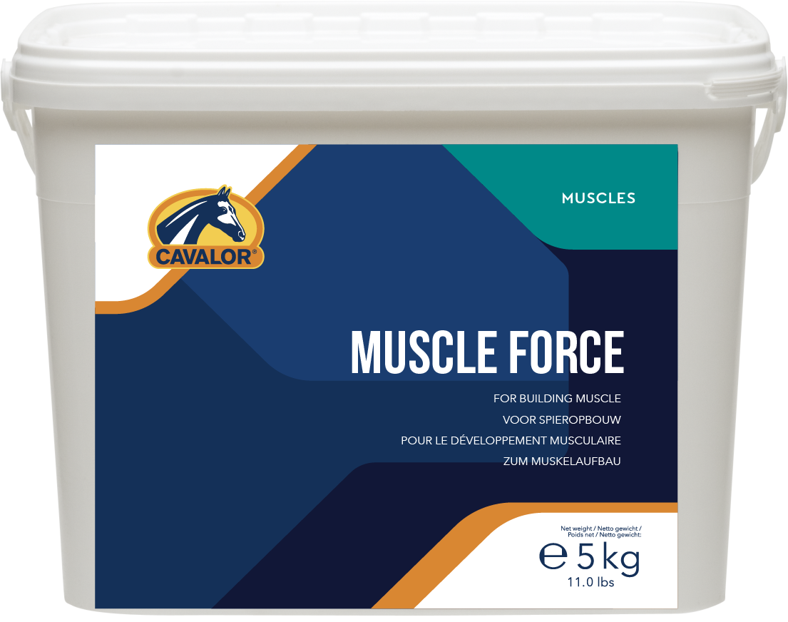 CAVALOR MUSCLE FORCE – Riders' Office