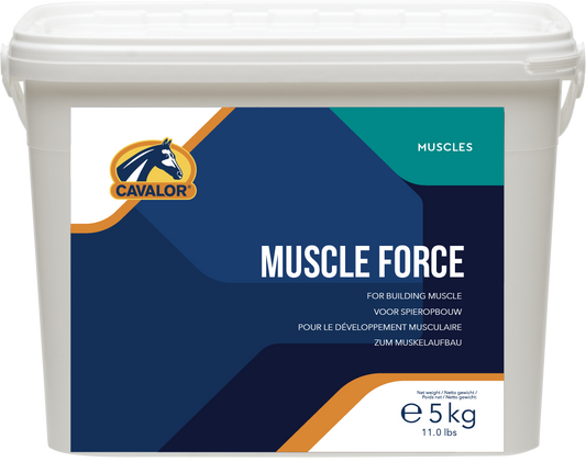 CAVALOR MUSCLE FORCE