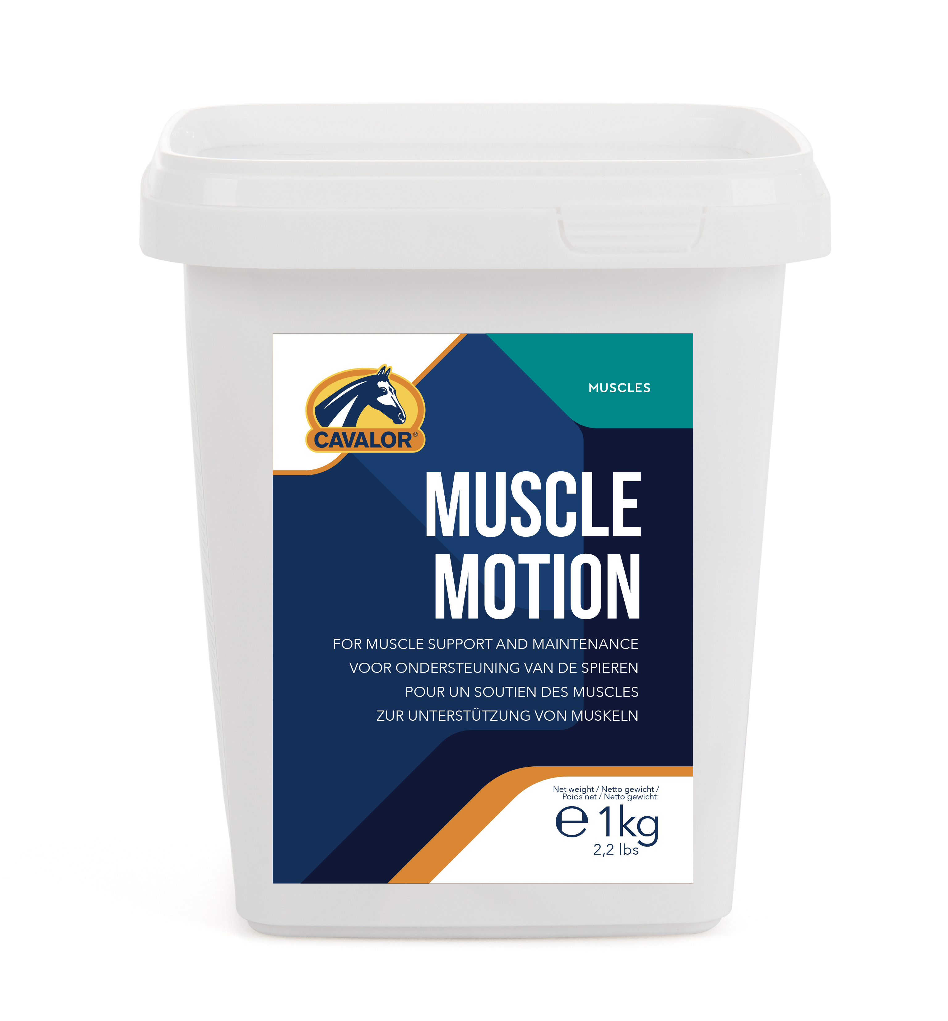 CAVALOR MUSCLE MOTION – Riders' Office