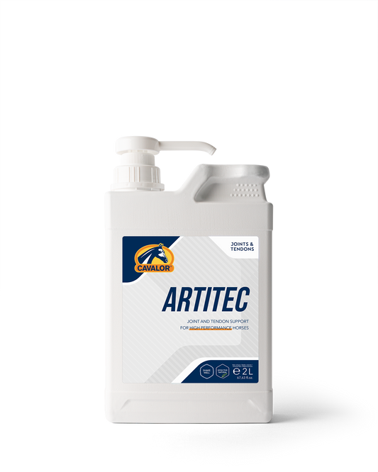 CAVALOR ARTITEC